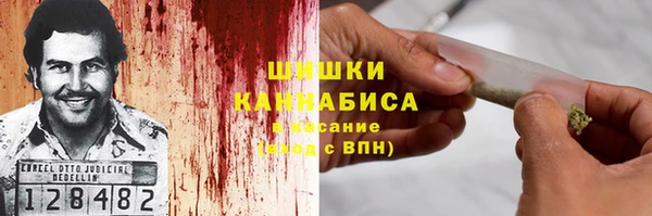 мдпв Елабуга