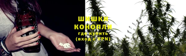 твердый Елизово