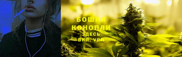 мдпв Елабуга