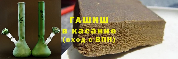 мдпв Елабуга