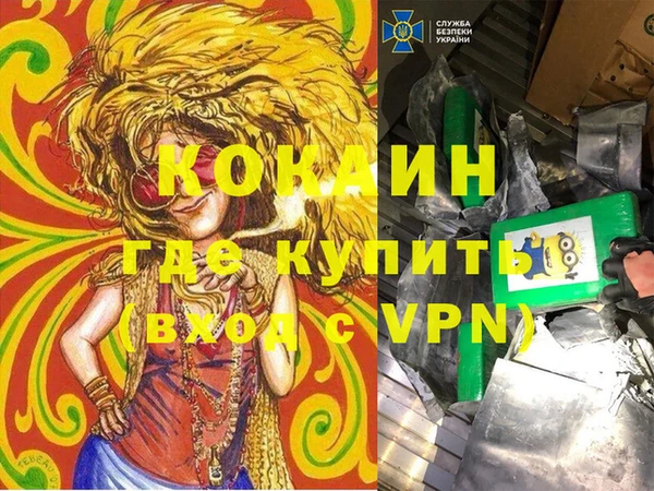мдпв Елабуга
