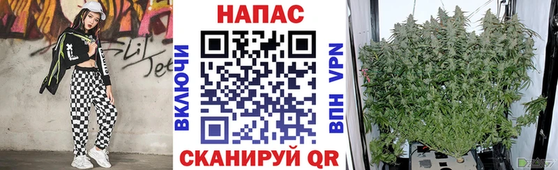 где купить наркотик  ОМГ ОМГ ONION  Бошки Шишки OG Kush  Чулым 